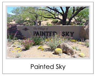 Painted Sky Homes For Sale in Desert Mountain Scottsdale AZ